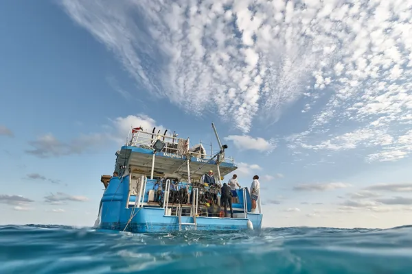Shark dive boat, Dolphin Dream, Bahamas