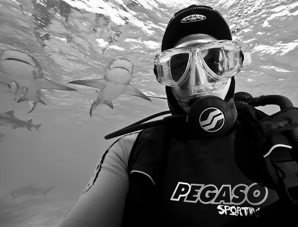 Georges Limbert's selfie with lemomn sharks, Tiger Beach, Bahamas