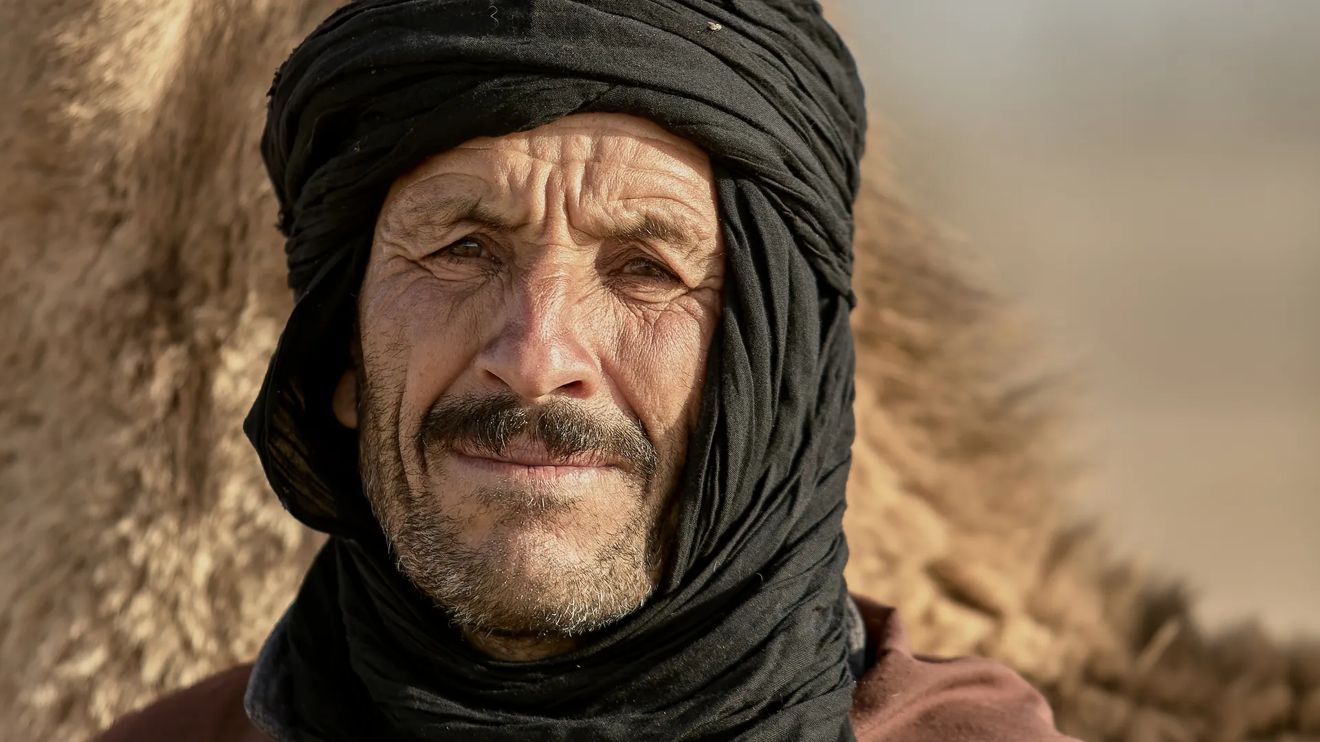 Close-up portrait of a Berber man wearing a dark turban beside his camel in the desert, Merzouga, Sahara Desert, Morocco